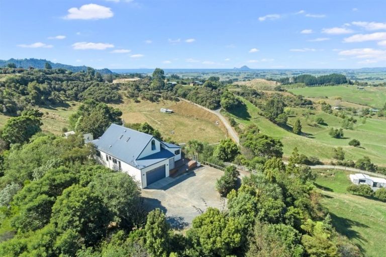 Photo of property in 302a Withy Road, Manawahe, Whakatane, 3193