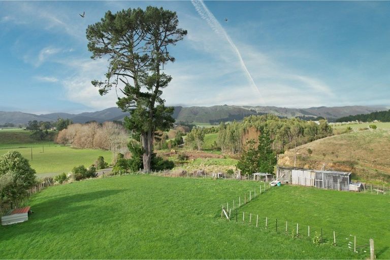 Photo of property in 123 Buckley Road, Shannon, Palmerston North, 4474