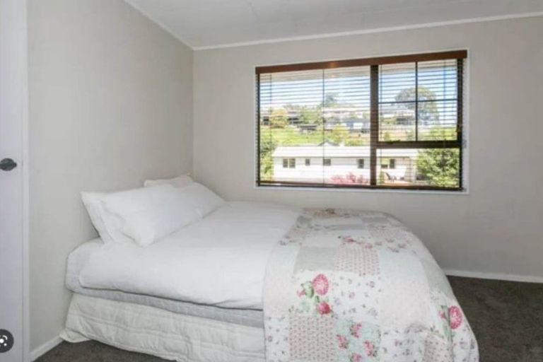 Photo of property in 101 James Cook Street, Havelock North, 4130