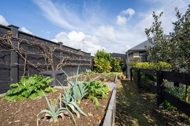 Photo of property in 44 Terry Came Drive, Cambridge, 3434