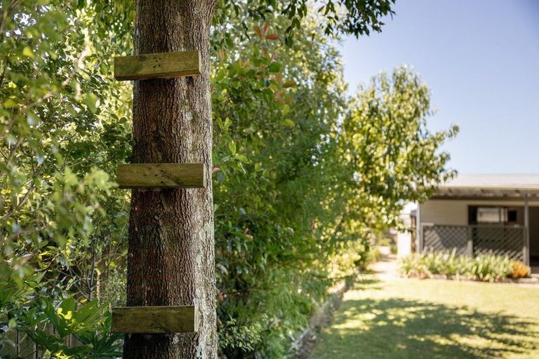 Photo of property in 7 Ratima Place, Whakatane, 3120