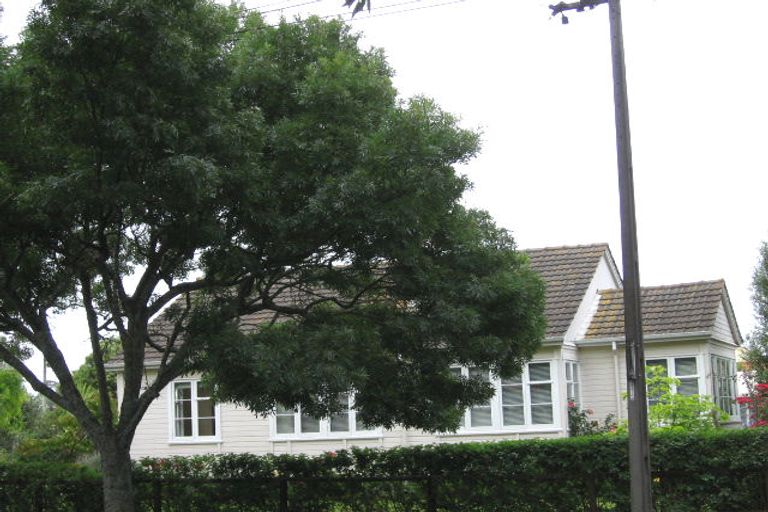 Photo of property in 131 Hendon Avenue, Mount Albert, Auckland, 1025