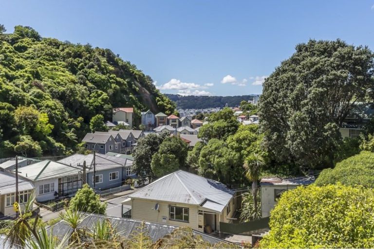 Photo of property in 209 Aro Street, Aro Valley, Wellington, 6021