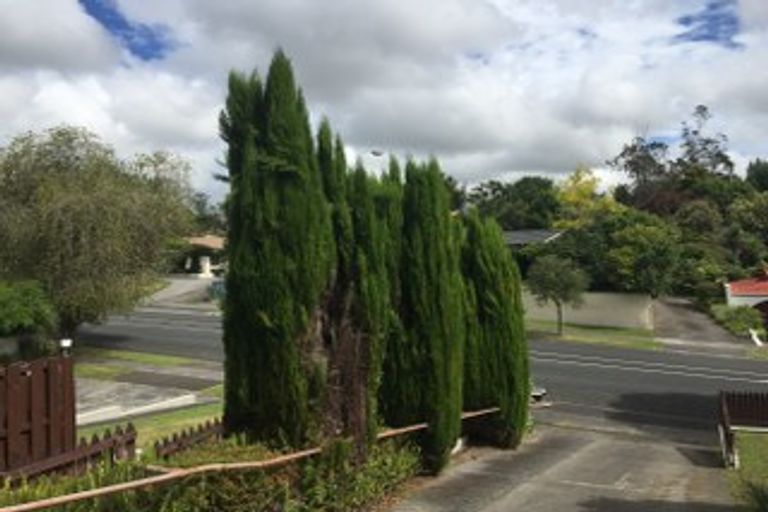 Photo of property in 62 Glen Lynne Avenue, Queenwood, Hamilton, 3210