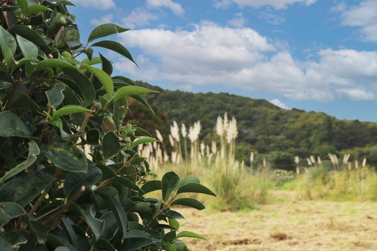 Photo of property in 843 Whangarei Heads Road, Parua Bay, Whangarei, 0174