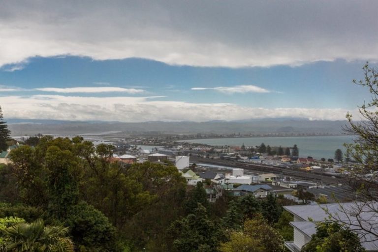 Photo of property in 24 Roslyn Road, Bluff Hill, Napier, 4110