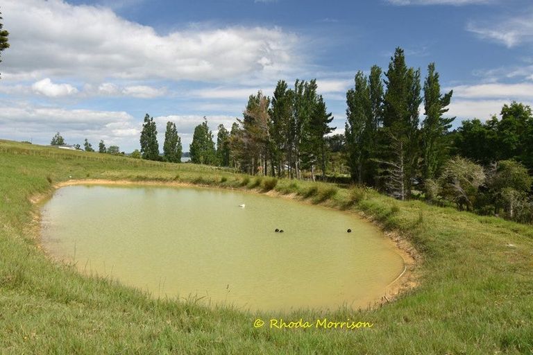 Photo of property in 69 Matakohe Wharf Road, Matakohe, 0593