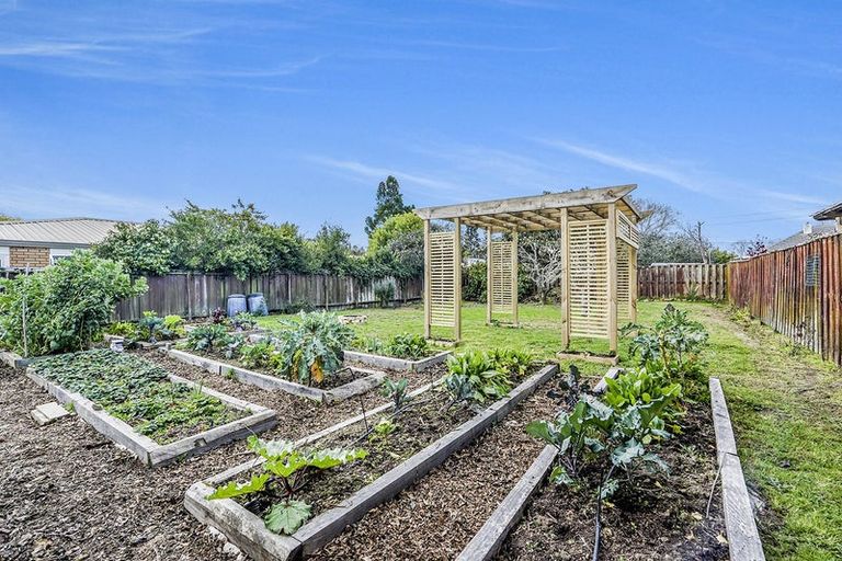 Photo of property in 216 Fox Street, Hamilton East, Hamilton, 3216