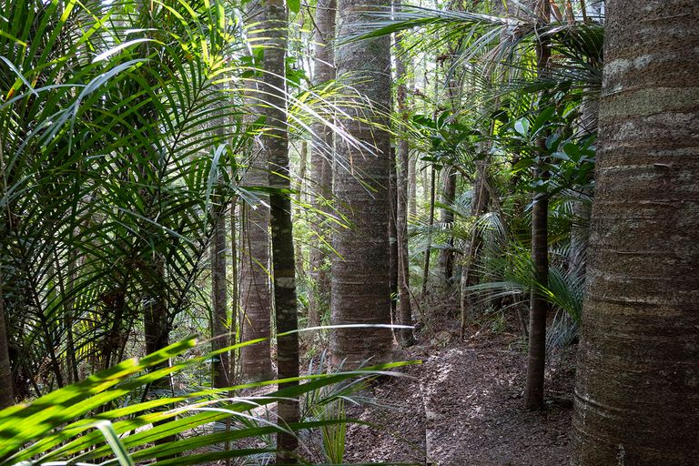 Photo of property in 71 Schollum Road, Big Omaha, Warkworth, 0985