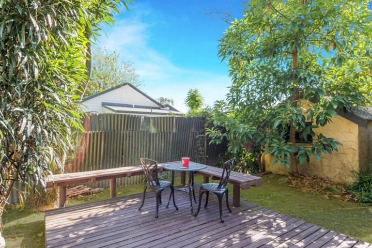 Photo of property in 106a Nixon Street, Hamilton East, Hamilton, 3216