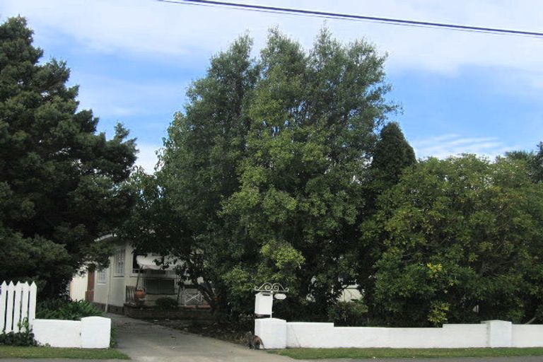 Photo of property in 1005 Waipuna Street, Mahora, Hastings, 4120