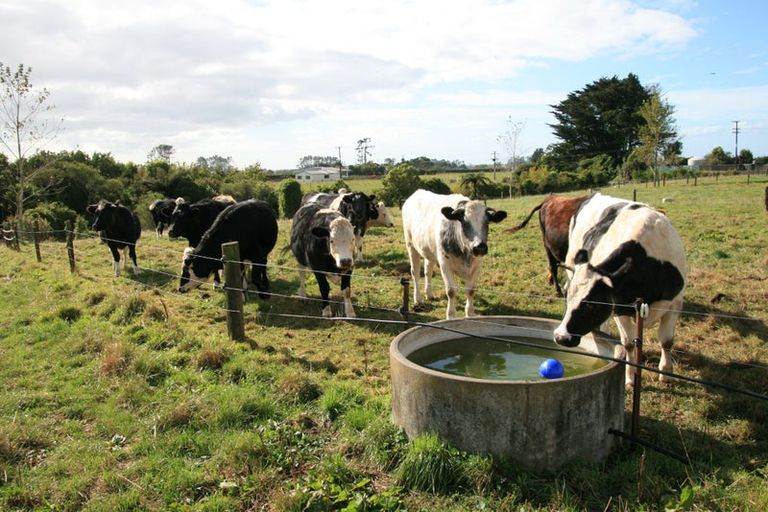 Photo of property in 174 Bedford Road North, Kaimiro, Inglewood, 4386