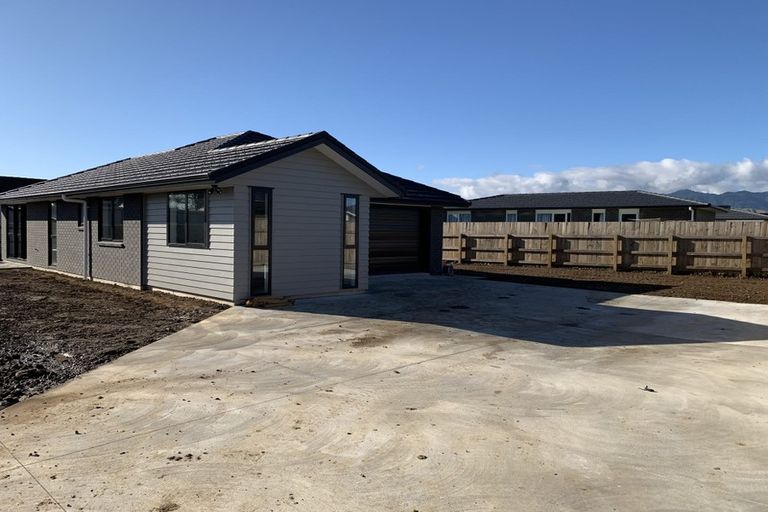 Photo of property in 98 Hinemoa Street, Levin, 5510