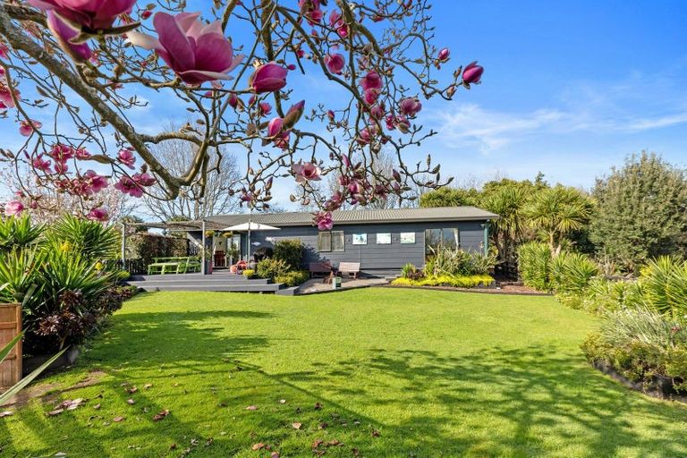 Photo of property in 554 Rangiuru Road, Rangiuru, Te Puke, 3188