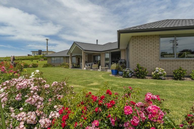 Photo of property in 515 Youngson Road, Whakamarama, Tauranga, 3179