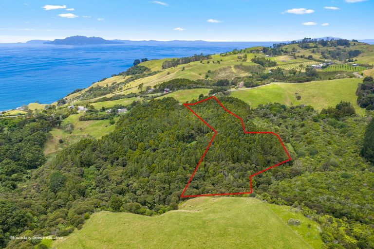 Photo of property in 65 M Greenwood Road, Leigh, 0972