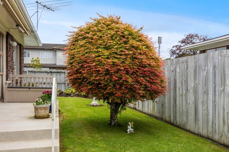 Photo of property in 5/33 Swanson Road, Henderson, Auckland, 0610