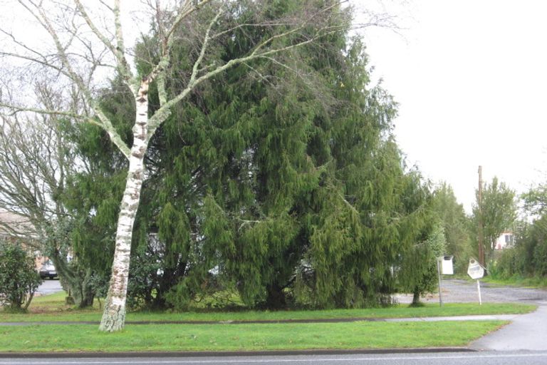 Photo of property in 49 Te Aroha Street, Hamilton East, Hamilton, 3216