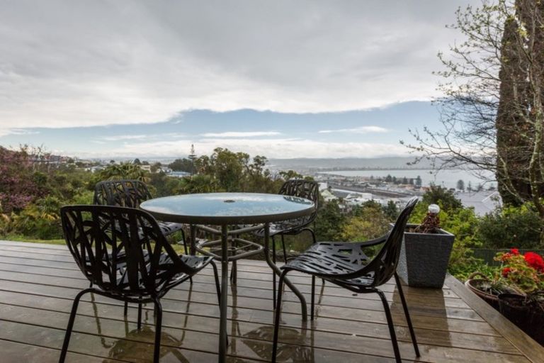 Photo of property in 24 Roslyn Road, Bluff Hill, Napier, 4110