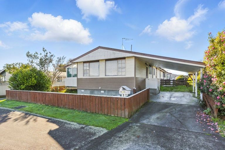 Photo of property in 12 Douglas Street, Levin, 5510