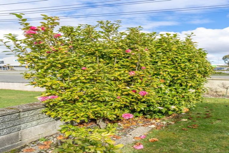 Photo of property in 10 Gimblett Street, Waikiwi, Invercargill, 9810