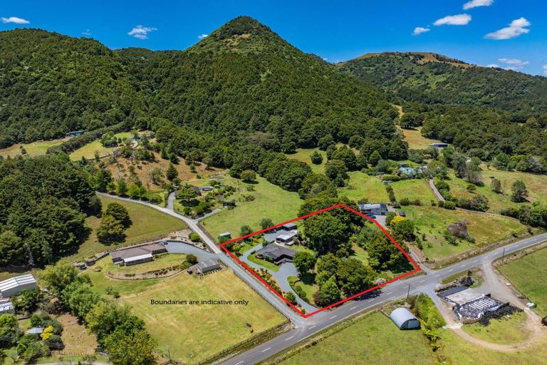 Photo of property in 252 Crane Road, Kauri, Kamo, 0185