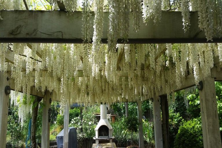 Photo of property in 308 Brown Road, Te Puke, 3188