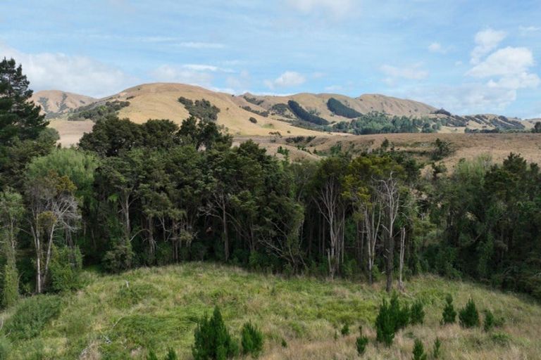 Photo of property in 599c Longbush Road, Hinakura, Masterton, 5884