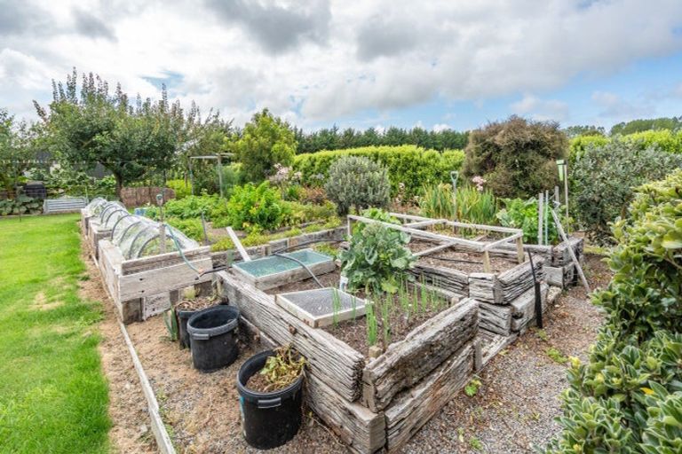 Photo of property in 113 Lower Sefton Road, Ashley, Rangiora, 7477