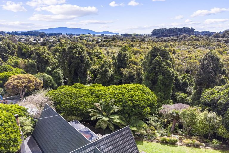 Photo of property in 79 Belvedere Avenue, Waikanae, 5036