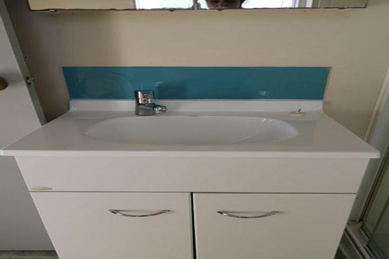 Photo of property in 4a Palm Grove, Berhampore, Wellington, 6023