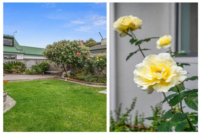 Photo of property in 19b Brinkley Road, Otumoetai, Tauranga, 3110