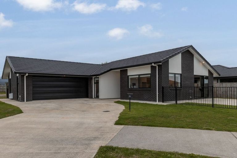 Photo of property in 79 Hinemoa Street, Levin, 5510