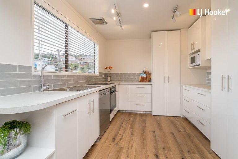 Photo of property in 64a Silverton Street, Andersons Bay, Dunedin, 9013