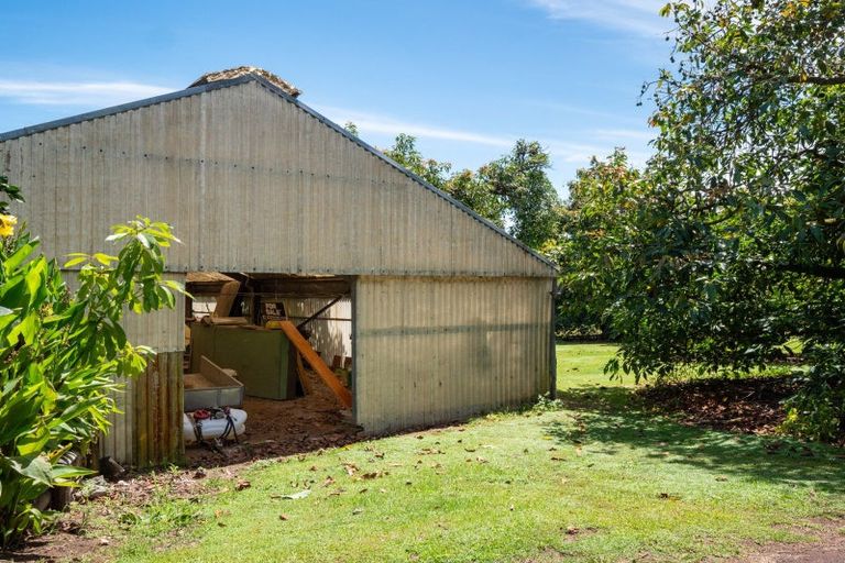 Photo of property in 311 Pahoia Road, Whakamarama, Tauranga, 3172
