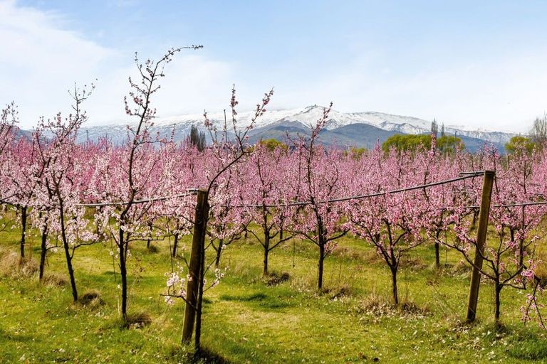 Photo of property in 192 Strode Road, Earnscleugh, Alexandra, 9391