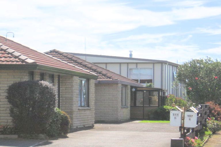 Photo of property in 111 Chapel Street, Otumoetai, Tauranga, 3110