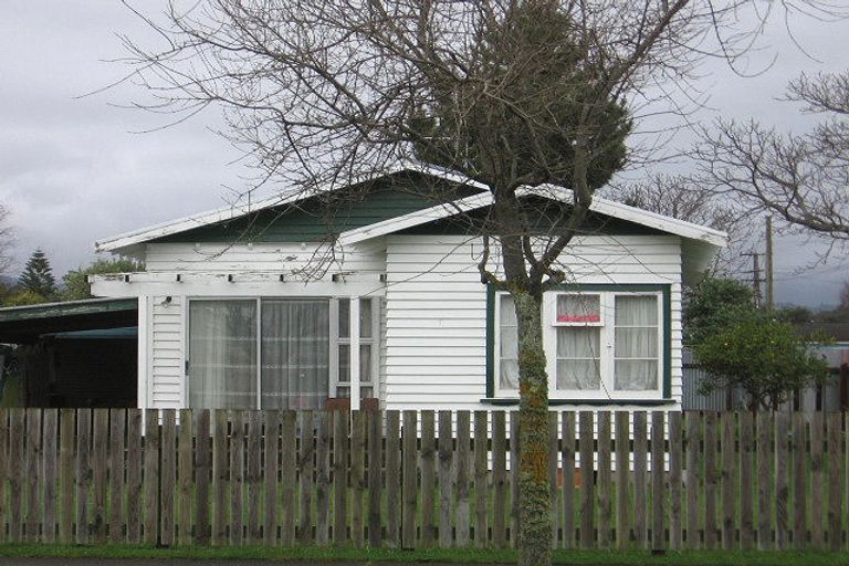 Photo of property in 31 Mckenzie Street, Levin, 5510