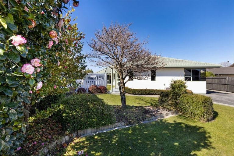 Photo of property in 5 Sequoia Place, Springlands, Blenheim, 7201