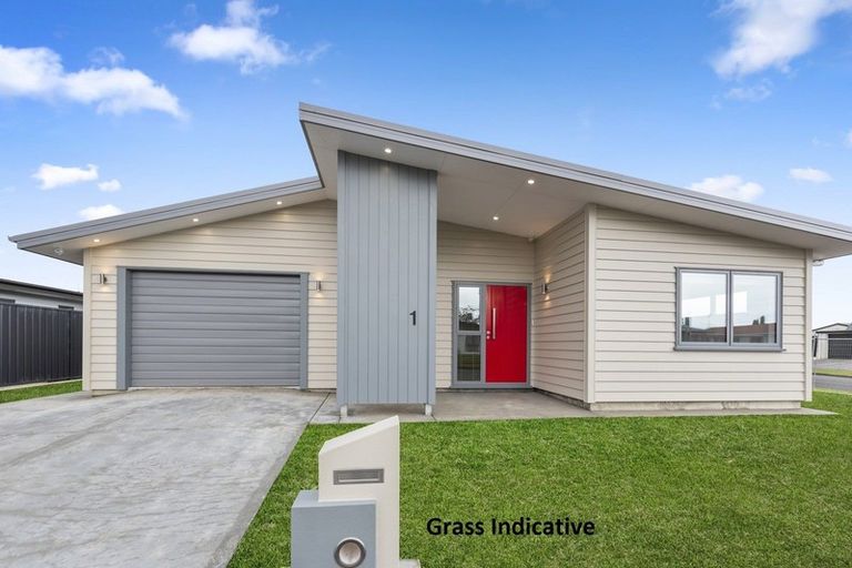 Photo of property in 1 Tainui Street, Levin, 5510