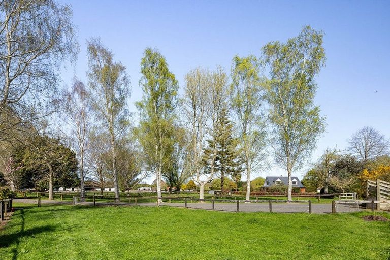 Photo of property in 166 Racecourse Road, Cambridge, 3493