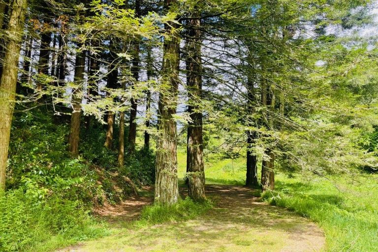 Photo of property in 308 Brown Road, Te Puke, 3188