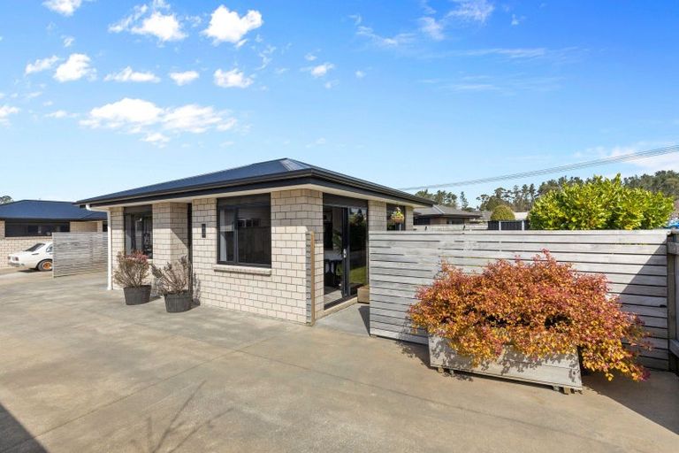 Photo of property in 41b James Street, Inglewood, 4330