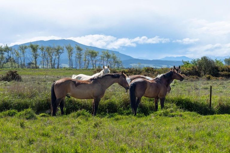 Photo of property in 453 Kainga Road, Brooklands, Christchurch, 8083