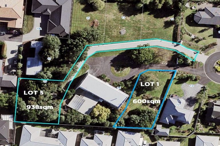 Photo of property in 19 Emsworth Court, Pukekohe, 2120