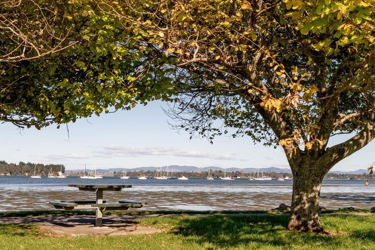 Photo of property in 4 Beach Grove, Omokoroa, 3114