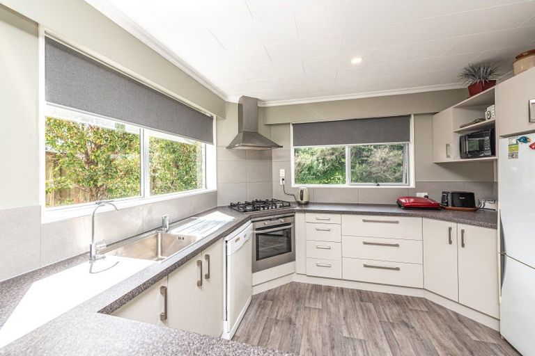 Photo of property in 41 Parkes Avenue, Saint Johns Hill, Whanganui, 4501