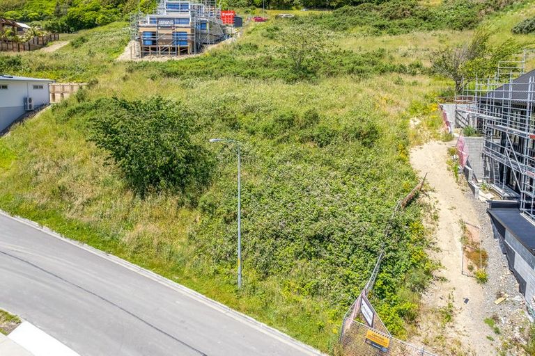 Photo of property in 81 Kotare Street, Waikanae, 5036