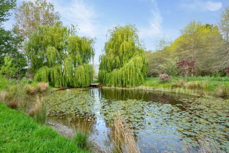 Photo of property in 213 Te Whiti Road, Homebush, Masterton, 5885