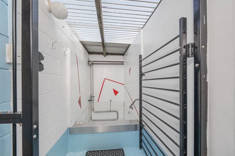 Photo of property in 8a Seddon Street, Glenholme, Rotorua, 3010